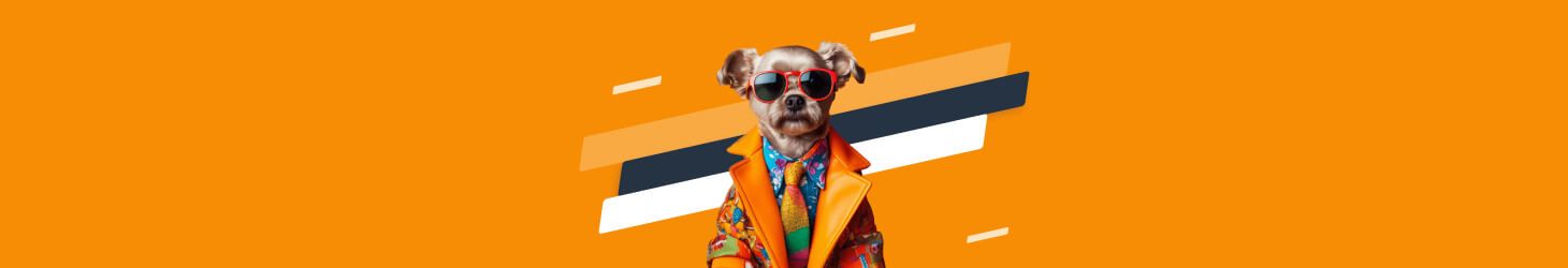 small dog with sunglasses