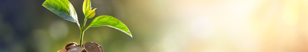 Gestion &eacute;v&eacute;nementielle pour associations caritatives